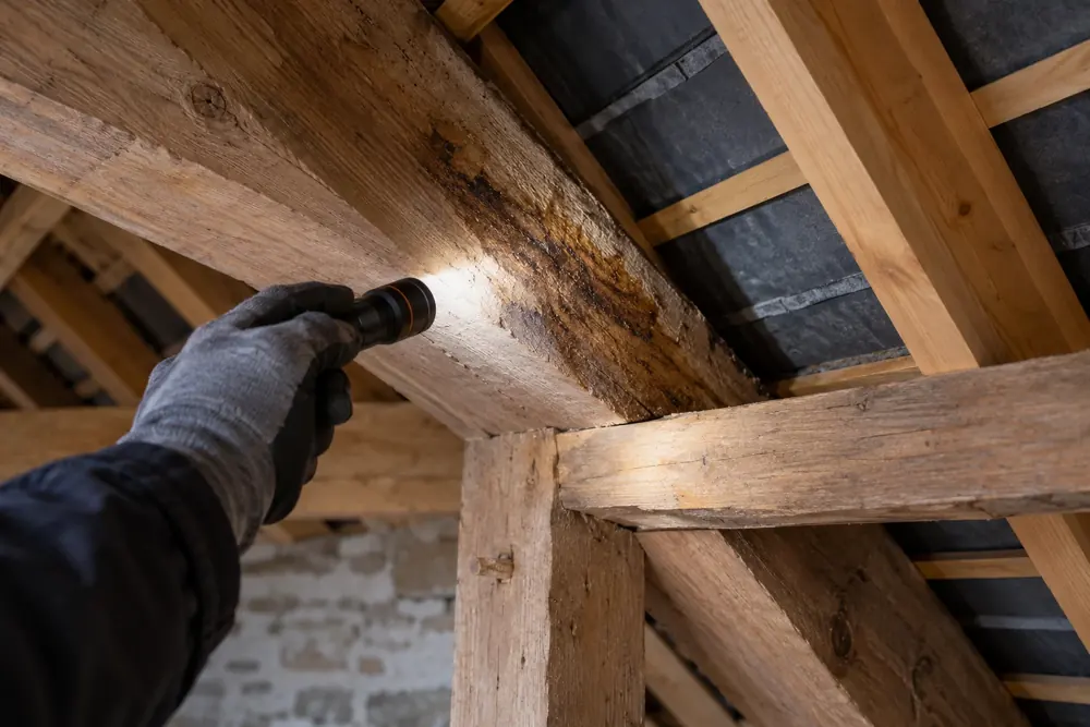 Examen à la lampe d’une trace d’humidité sous une toiture
